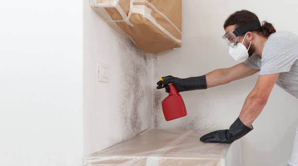 Professional Mold Removal technician working in Elm City, NC
