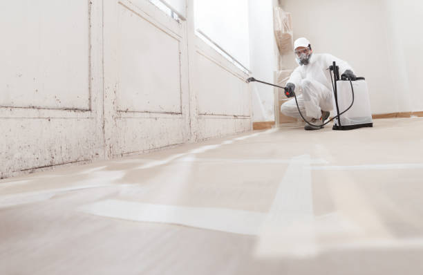 24/7 Emergency Mold Removal experts in Elm City, NC